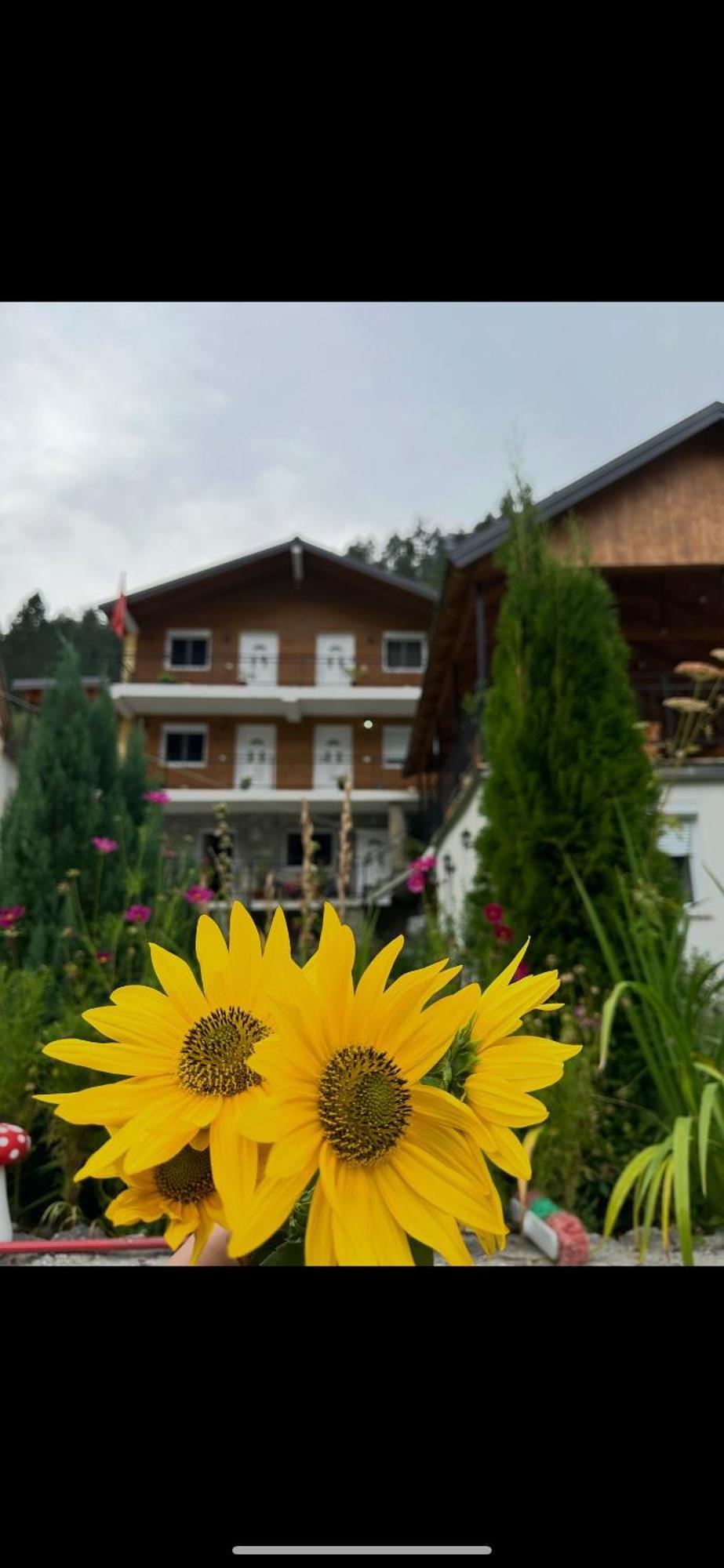 Bujtina Brahim Selimaj Bed and Breakfast Valbone Eksteriør billede