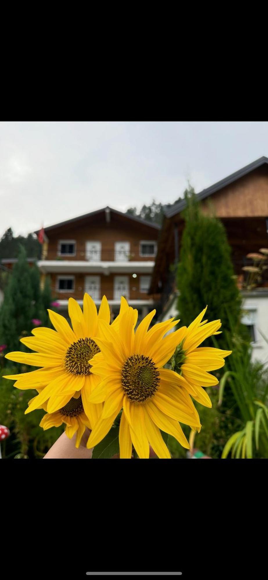 Bujtina Brahim Selimaj Bed and Breakfast Valbone Eksteriør billede